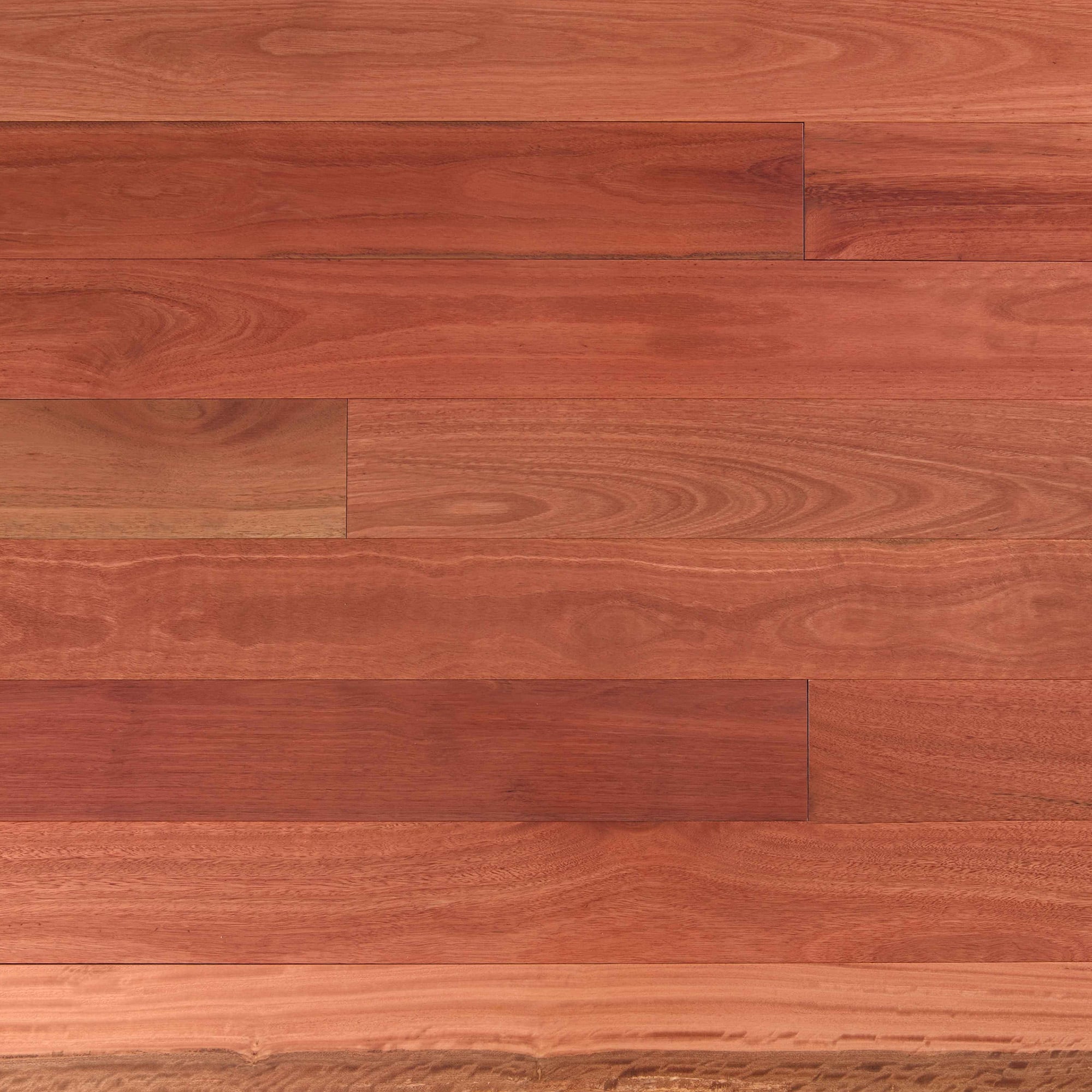 Blue Gum Flooring